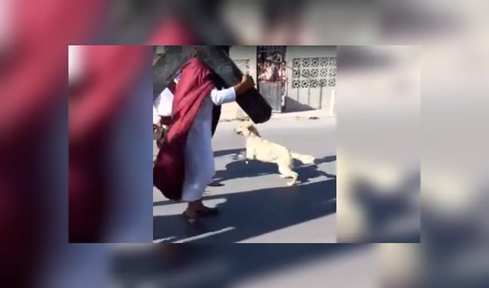 Facebook viral: perro 'creyente' ataca a 'soldados romanos' que azotaban a 'Jesús' [VIDEO]