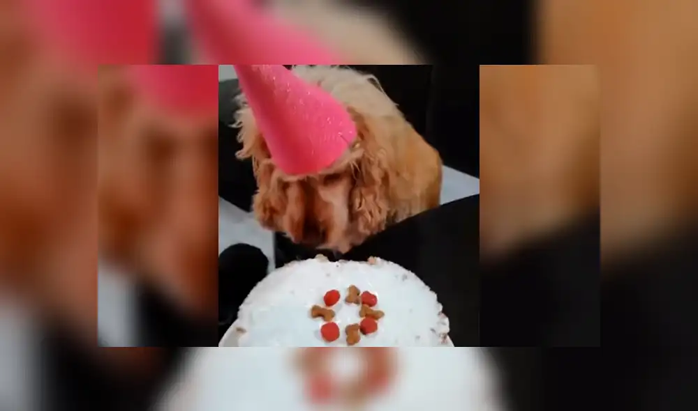 Desliza la imagen de TikTok para verlas todas.