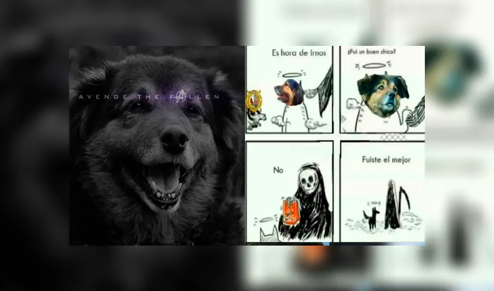 Facebook viral: alumnos de la UNMSM despiden a su 'Perrovaca' con sentimentales memes [FOTOS] 