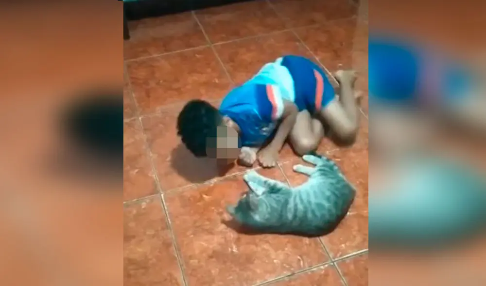 Desliza las imágenes para apreciar el amoroso momento entre un niño y su gato tras quedarse solos en casa. Foto: captura de Facebook