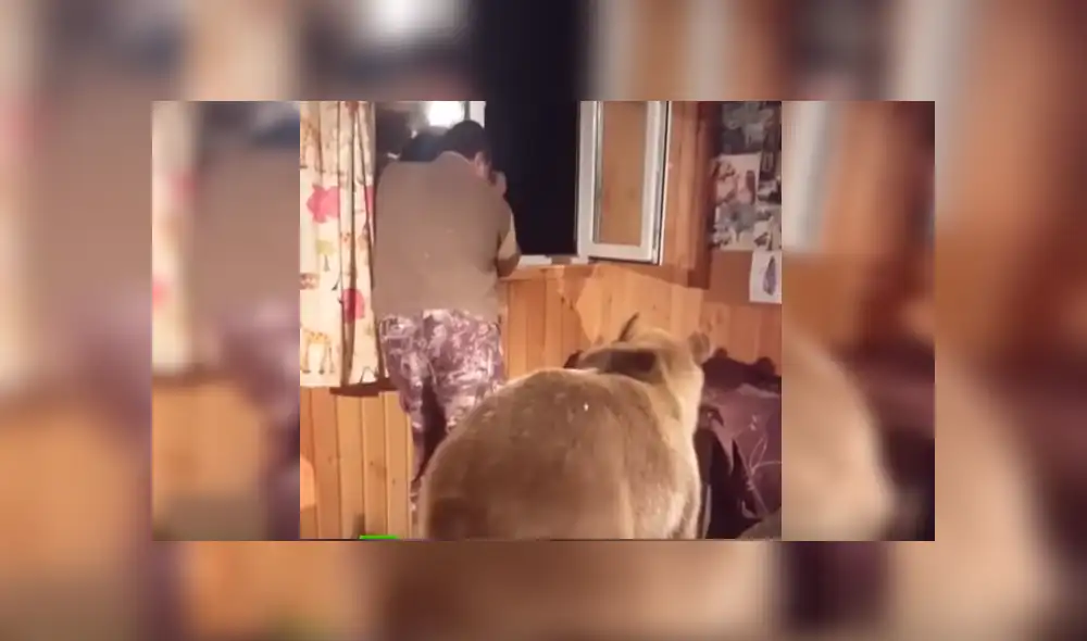 Video es viral en YouTube. El hombre estaba distraído mirando por la ventana de su cabaña, cuando el animal se acercó sigilosamente por detrás para hacer algo que ha sorprendido a todos Video es viral en YouTube. El hombre estaba distraído mirando por la ventana de su cabaña, cuando el animal se acercó sigilosamente por detrás para hacer algo que ha sorprendido a todos