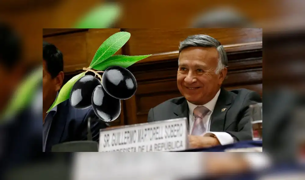 Fujimorista presenta proyecto para crear el día de la aceituna