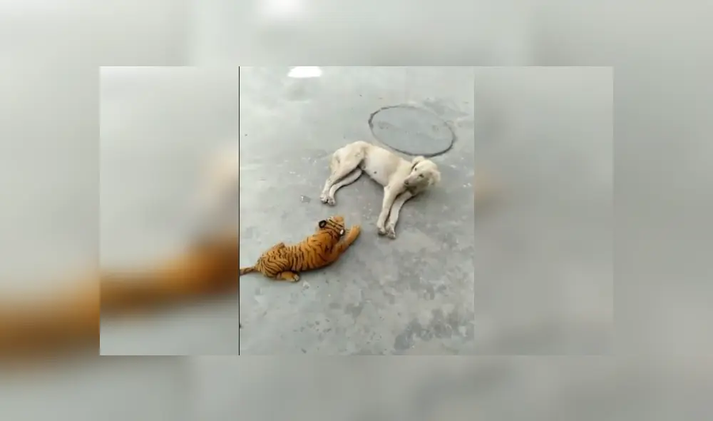 Desliza para ver los detalles del video viral publicado en YouTube. Foto: Captura.