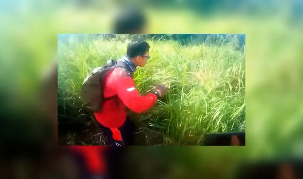 YouTube: Polémica por extraña criatura que apareció en medio de la carretera 