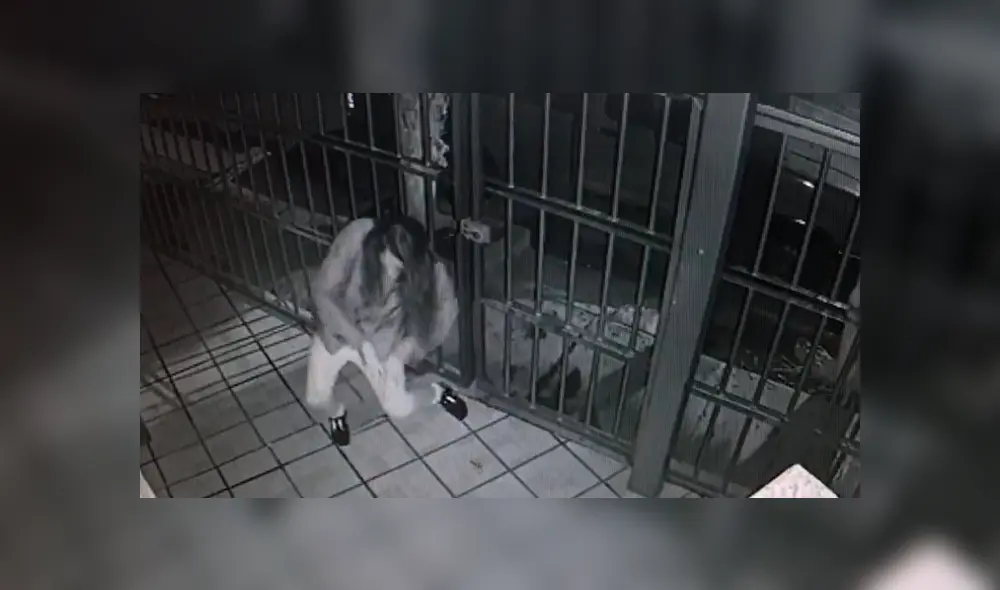 El video viral de Facebook registrado por una cámara registró el secreto oculto de un joven 'fiestero'. El video viral de Facebook registrado por una cámara registró el secreto oculto de un joven 'fiestero'.