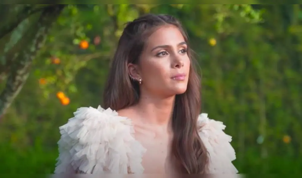 El tema ha tenido tal aceptación que en pocas horas pudo acumular casi medio millón de reproducciones en YouTube. (Foto: Captura VEVO)