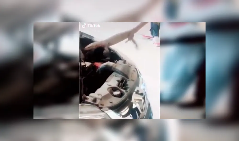 Mecánico revisa el interior de un carro y encuentra peligroso animal que vivía dentro. Mecánico revisa el interior de un carro y encuentra peligroso animal que vivía dentro.
