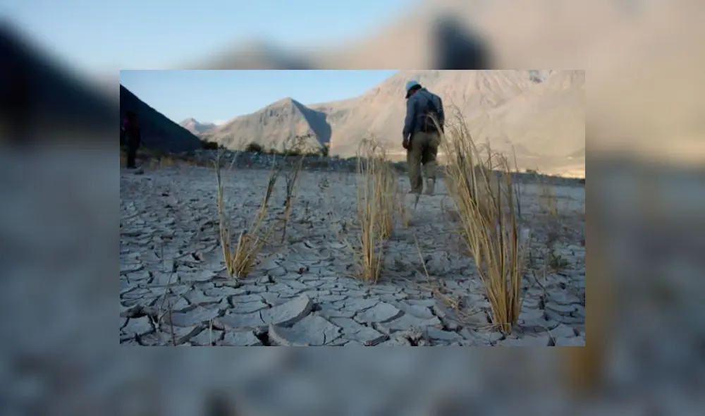 Advierten cinco años de sequía en el sur del Perú 