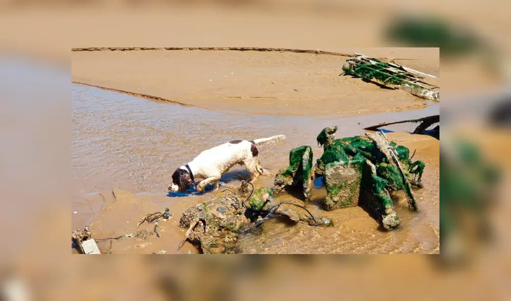 El 21 de abril de 1944, el JM333 cayó cerca de Haille Sands cuando ambos motores fallaron. El 21 de abril de 1944, el JM333 cayó cerca de Haille Sands cuando ambos motores fallaron.