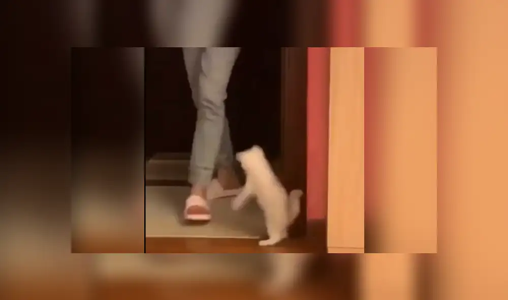 Desliza las imágenes para conocer más sobre esta escena que ya es viral en Facebook. Desliza las imágenes para conocer más sobre esta escena que ya es viral en Facebook.