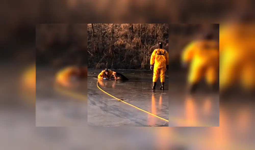 En Facebook, un grupo de bomberos ayudó a un indefenso perro que cayó a un lago congelado.
