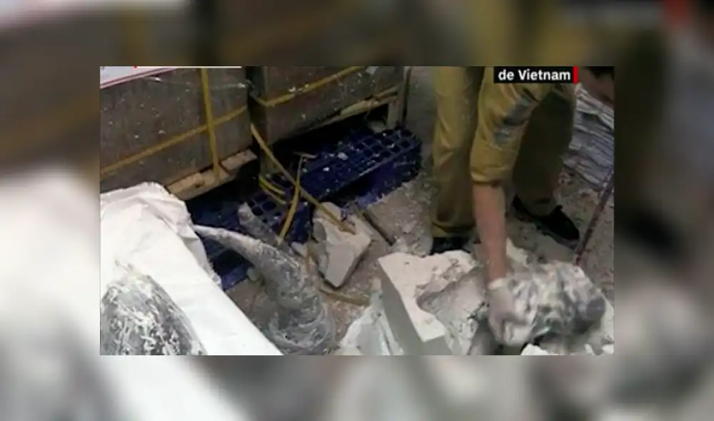 Descubren 125 kilos de cuernos de rinoceronte camuflados en esculturas