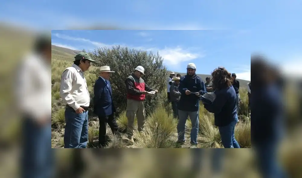 Cusco debe reforestar 2 millones de hectáreas