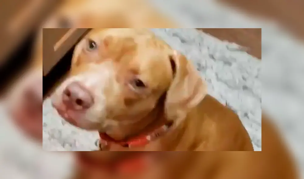 Desliza la imagen compartida en YouTube para verlas todas.