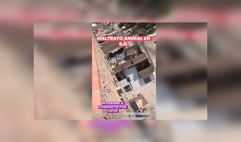 La denuncia vía redes sociales se hizo el 16 de abril, pero las autoridades aún no responden el llamado. Foto: Captura. La denuncia vía redes sociales se hizo el 16 de abril, pero las autoridades aún no responden el llamado. Foto: Captura.