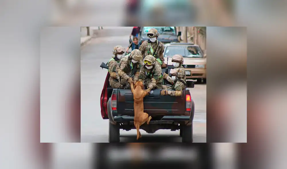 Desliza la imagen de Facebook para verlas todas. Desliza la imagen de Facebook para verlas todas.