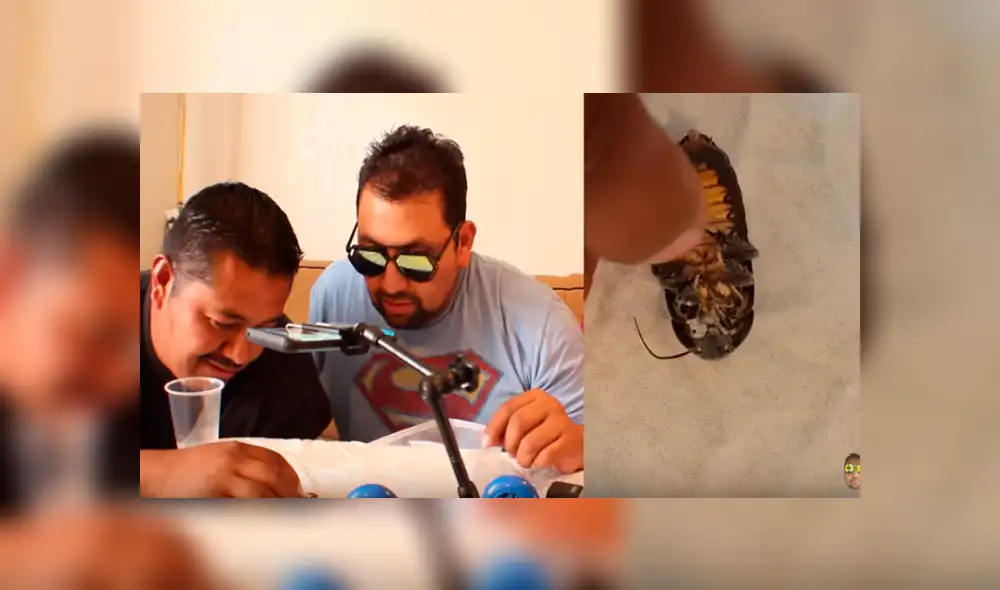 Desliza para ver los detalles de este polémico video viral publicado en YouTube. Foto: Captura. Desliza para ver los detalles de este polémico video viral publicado en YouTube. Foto: Captura.