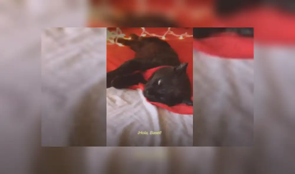 Desliza hacia la izquierda para ver más del video viral. Fotocaptura: YouTube Desliza hacia la izquierda para ver más del video viral. Fotocaptura: YouTube