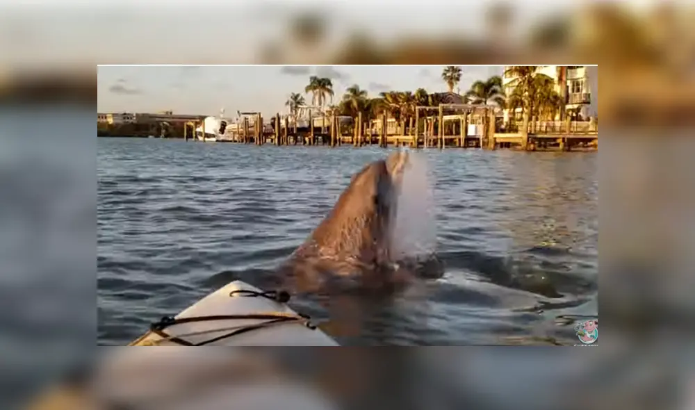 Desliza para ver los detalles del video viral publicado en YouTube. Foto: Captura.