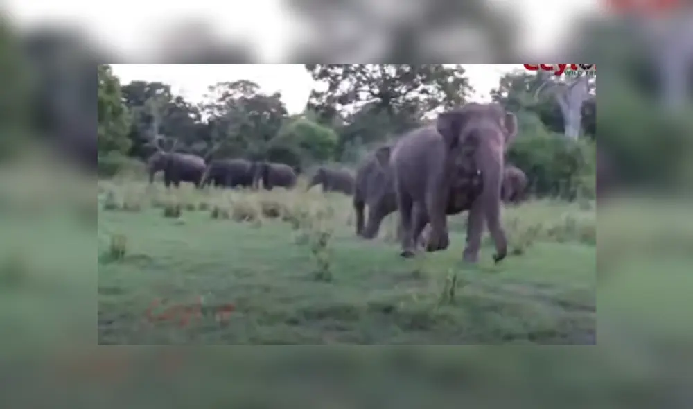 Desliza hacia la izquierda para ver más del video viral. Fotocaptura: YouTube Desliza hacia la izquierda para ver más del video viral. Fotocaptura: YouTube