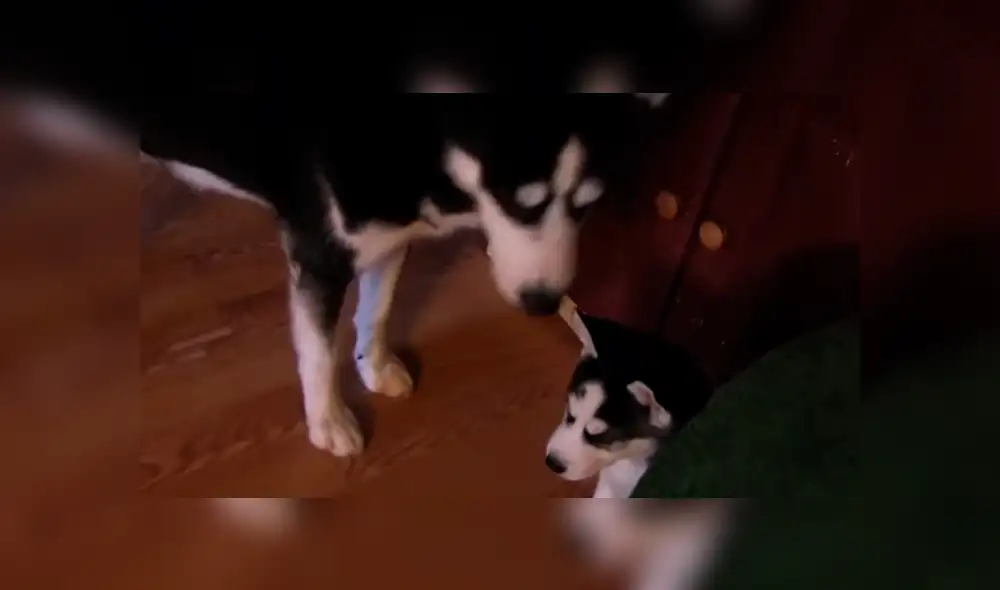 Desliza para ver los momentos más tiernos del emotivo video que se hizo viral en Facebook. Desliza para ver los momentos más tiernos del emotivo video que se hizo viral en Facebook.