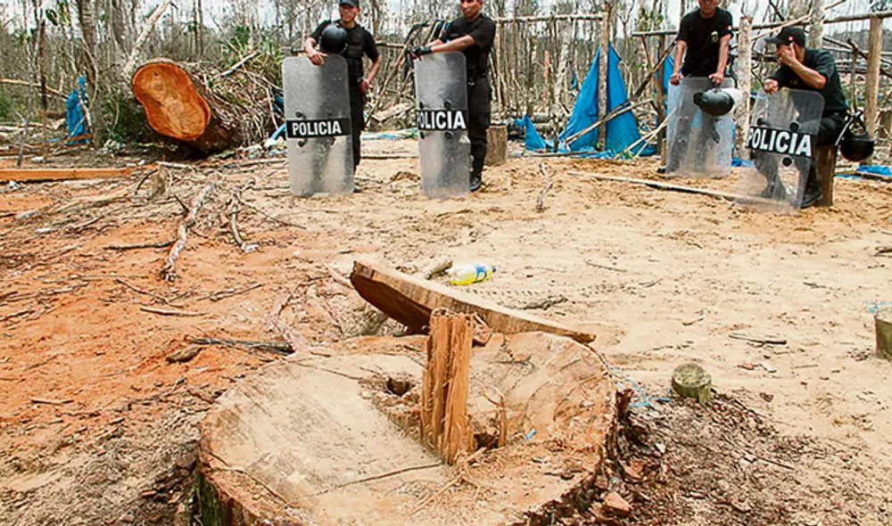 mineria ilegal bosque tala policia mineria ilegal bosque tala policia