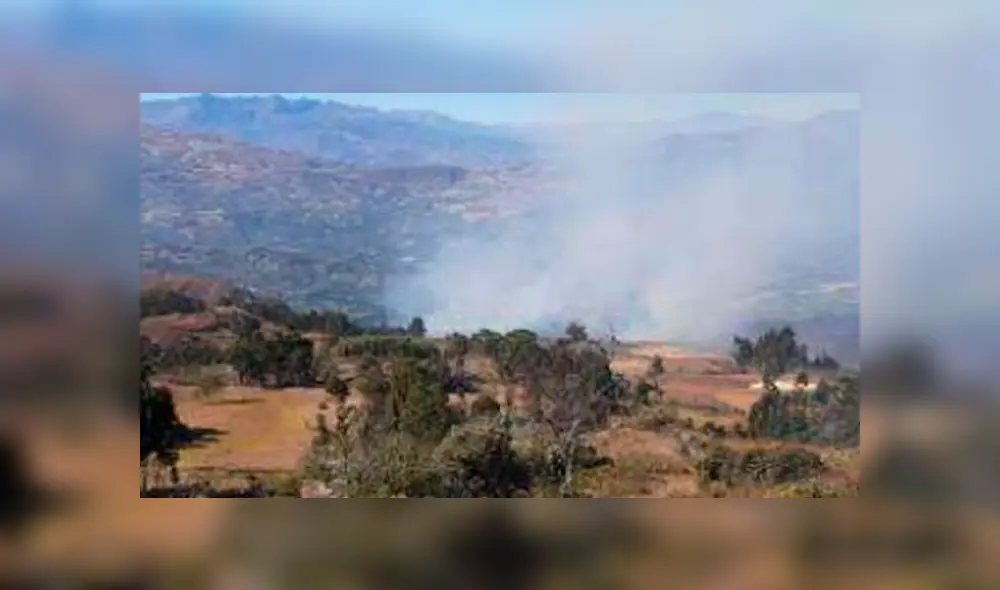 Incendio forestal viene afectado cultivos en Cajamarca. Foto: Andina