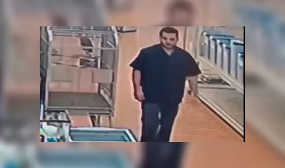 YouTube viral: un hombre ocultó en el lugar menos indicado a una serpiente que había robado  [VIDEO] 