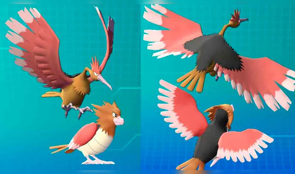 Martes 22 de septiembre de 2020: Spearow. (Fotos: Niantic)