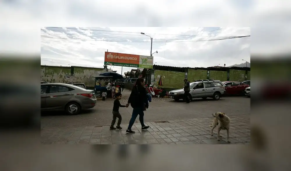 Encuentran cuatro cabezas de perro envueltas en bolsas en mercado de Cusco