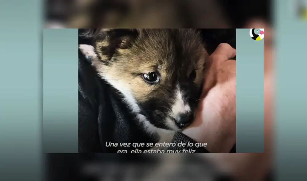 Desliza hacia la izquierda para ver las imágenes del viral de YouTube. Foto: Captura.