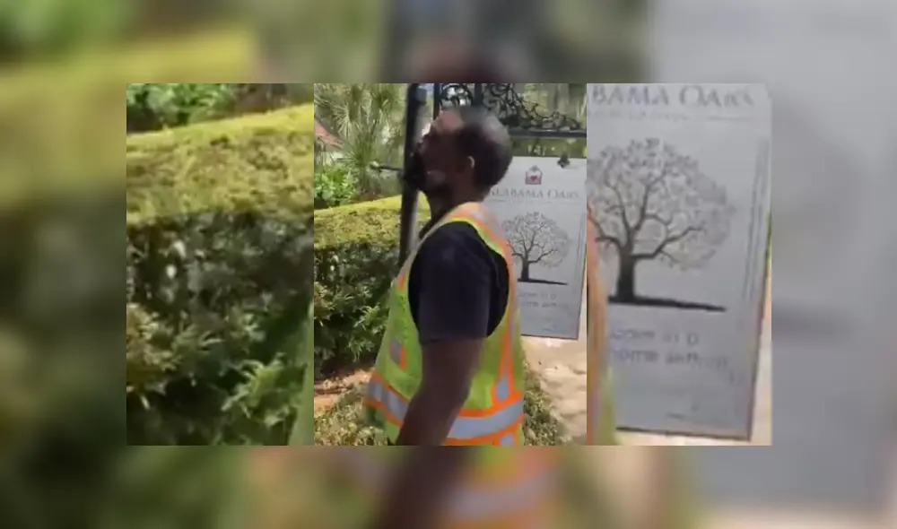 Desliza hacia la izquierda para ver más del video viral. Desliza hacia la izquierda para ver más del video viral.