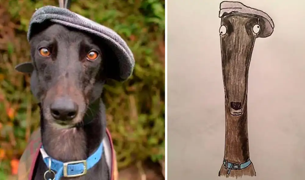 Desliza las imágenes hacia la izquierda para apreciar los dibujos de animales realizados por un joven. Fotos: Pet Portraits By Hercule.