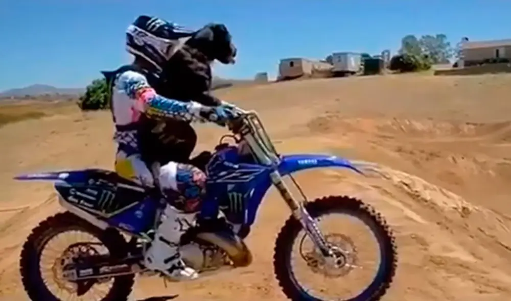 Desliza las imágenes para ver la valentía de un perro al practicar un deporte extremo junto con su dueña. Foto: captura de YouTube
