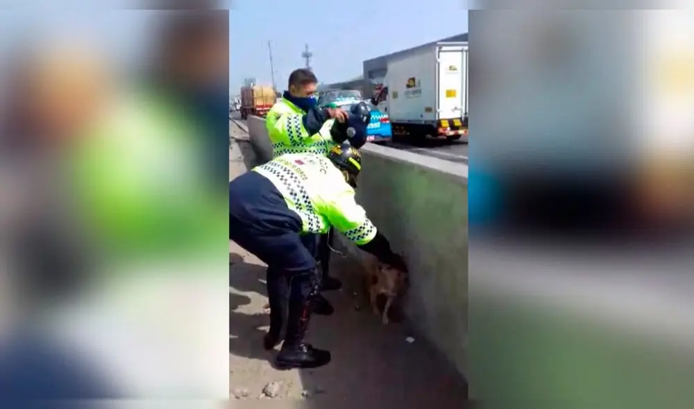 (Foto: Municipalidad de Surco) (Foto: Municipalidad de Surco)