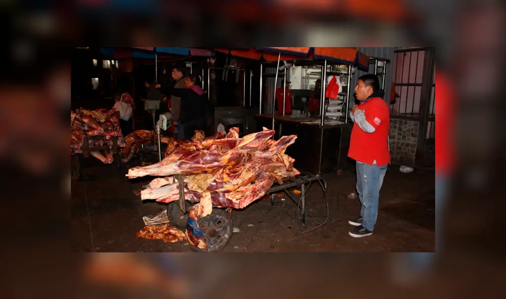 Carne de equino Carne de equino