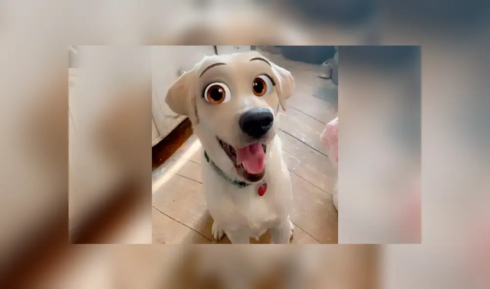 El filtro para perros llegó en la última actualización de Snapchat. Foto: Ladbible.