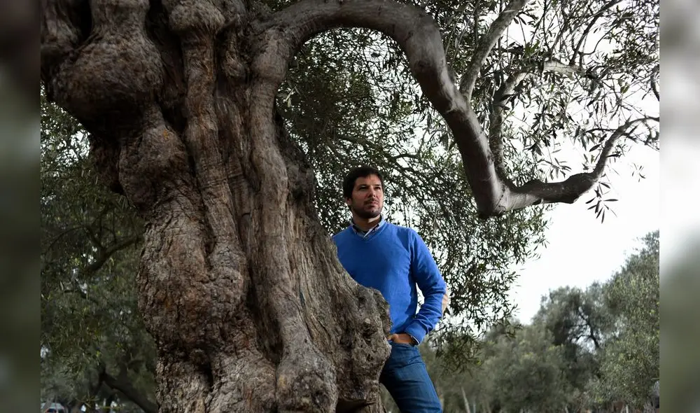 escritor en casa. Renato Cisneros en el Olivar de San Isidro, en la conversa con La República.