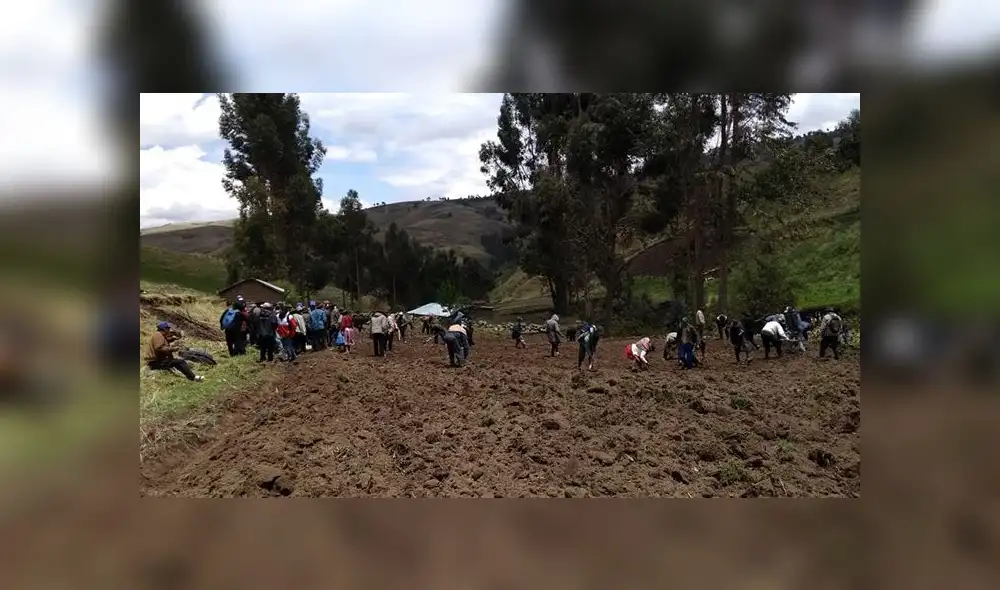 Ayacucho: realizan campaña de siembra en beneficio de ganaderos