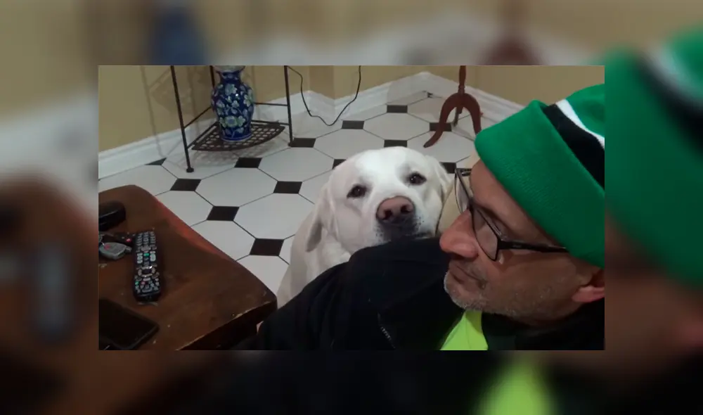 Desliza para ver los momentos más destacados del tierno video que se hizo viral en YouTube. Desliza para ver los momentos más destacados del tierno video que se hizo viral en YouTube.