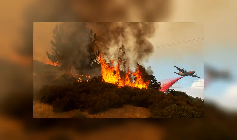 Intentó eliminar nido de avispas y provocó el incendio forestal más devastador de California
