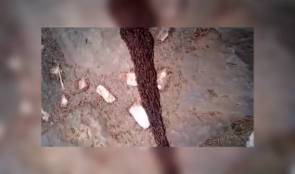 Desliza para ver las imágenes más impactantes del video que se hizo viral en YouTube.