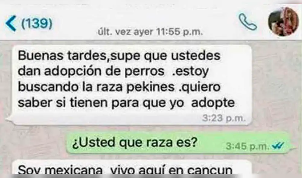 WhatsApp: Quiso adoptar perro de "raza pura" y le dieron una gran lección