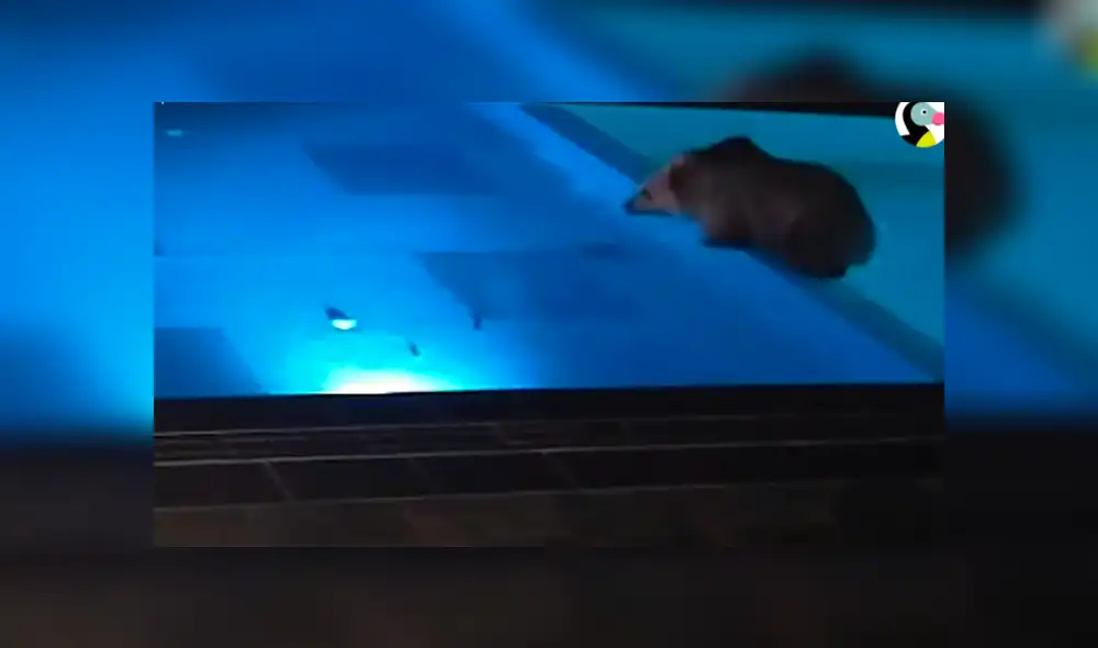 Desliza hacia la izquierda para ver las imágenes del viral de Facebook. Desliza hacia la izquierda para ver las imágenes del viral de Facebook.