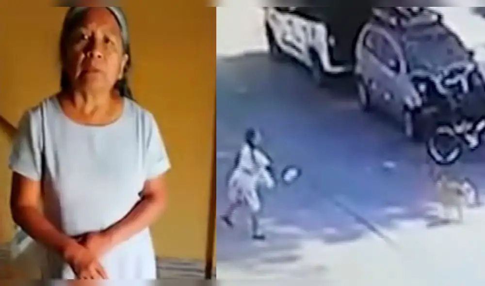 Chiclayo: así es como operaba la mujer que envenenó a decenas de perros con engaños 