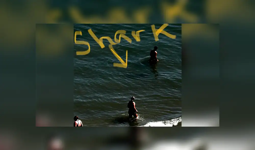 Bañistas quedan aterrados al notar la presencia de un tiburón. Foto: Captura.