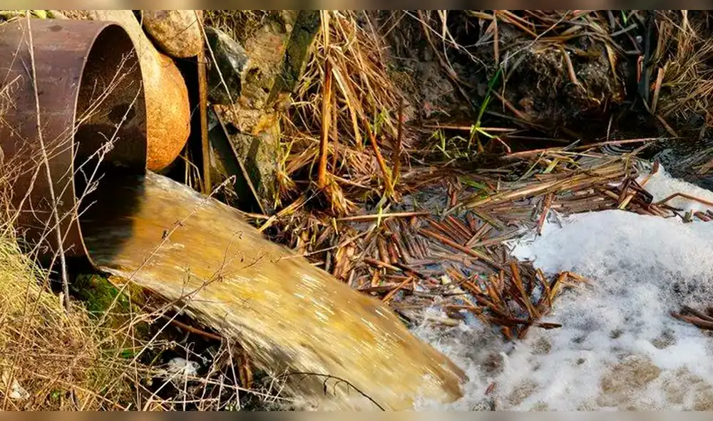 Viagra, cocaína y éxtasis: los ‘contaminantes emergentes’ de los ríos de Argentina 