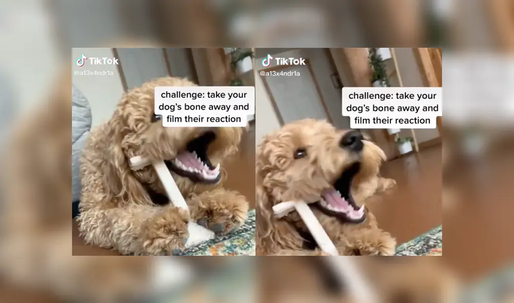 Desliza a la izquierda para ver más sobre este nuevo video viral de Facebook. Foto: Captura. Desliza a la izquierda para ver más sobre este nuevo video viral de Facebook. Foto: Captura.