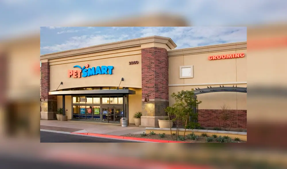 Bulldog muere aplastado por mesa de spa luego que dueña lo dejara para su baño [VIDEO] 