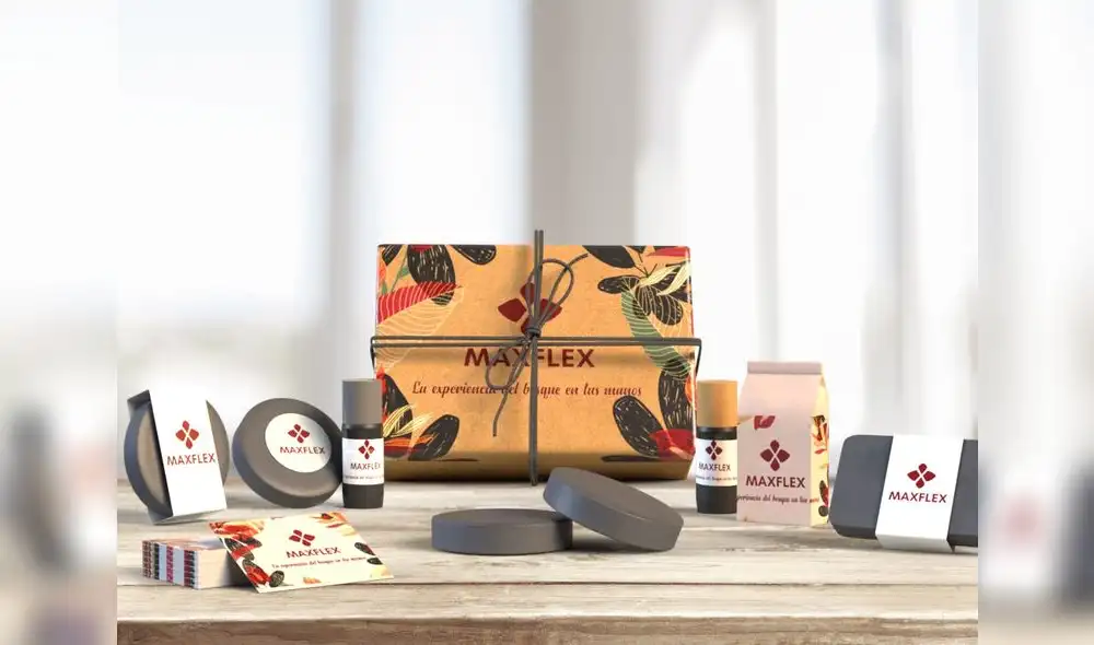 Maxflex fue el proyecto ganador. Foto: cortesía